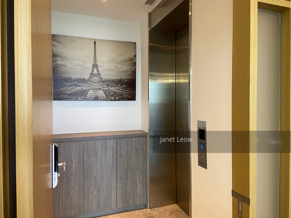 Skyline Residences (D4), Condominium #217738101